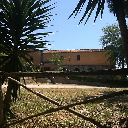 Don Chisciotte Torrimpietra