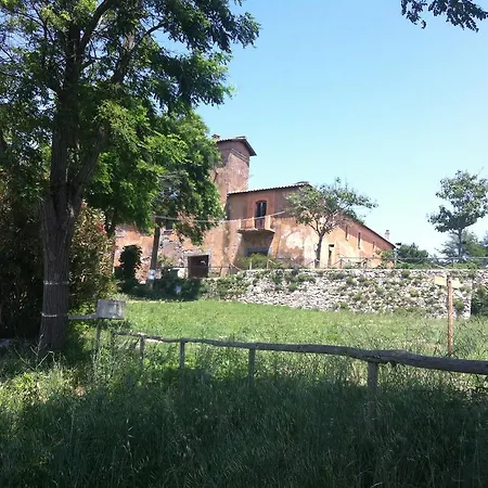 Гостевой дом Don Chisciotte Torrimpietra